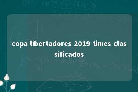 copa libertadores 2019 times classificados