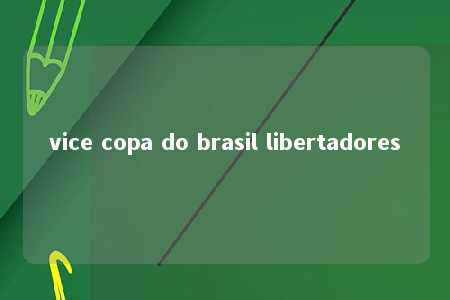 vice copa do brasil libertadores