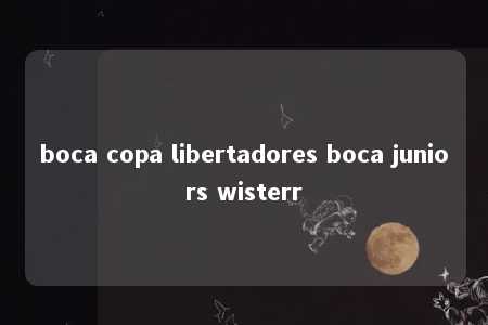 boca copa libertadores boca juniors wisterr