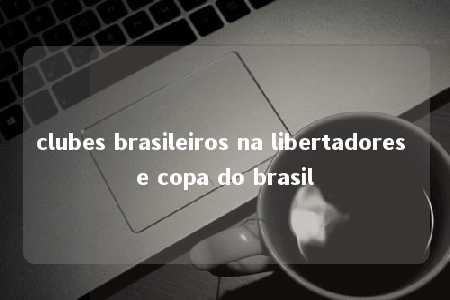 clubes brasileiros na libertadores e copa do brasil