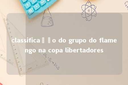 classificação do grupo do flamengo na copa libertadores