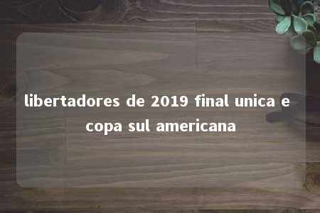 libertadores de 2019 final unica e copa sul americana