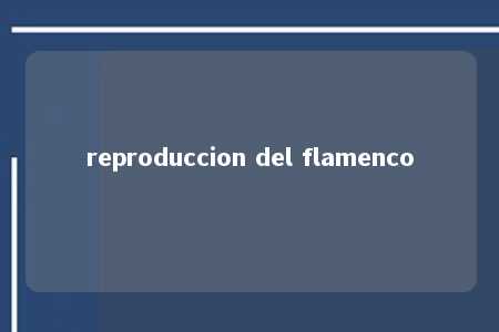 reproduccion del flamenco