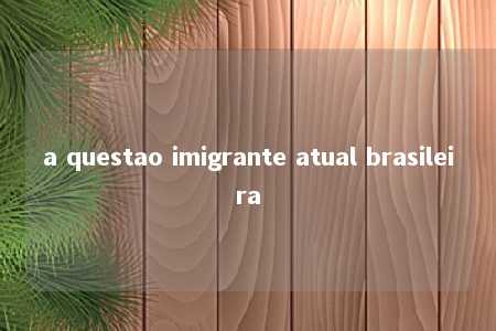 a questao imigrante atual brasileira