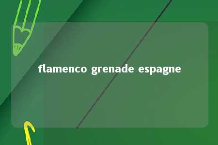 flamenco grenade espagne