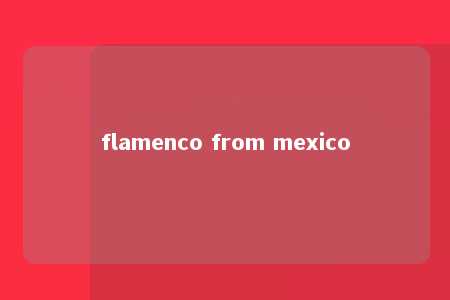 flamenco from mexico