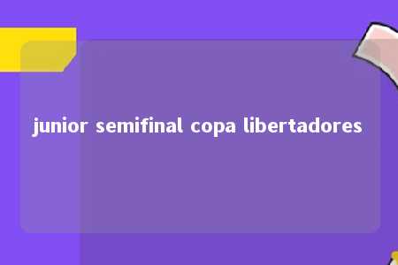 junior semifinal copa libertadores