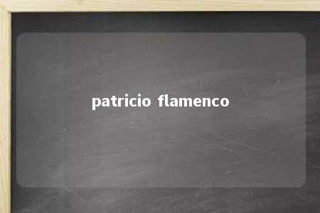 patricio flamenco