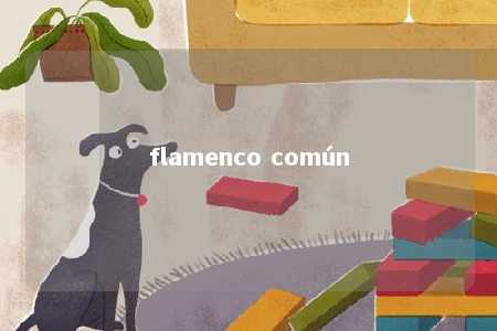 flamenco común