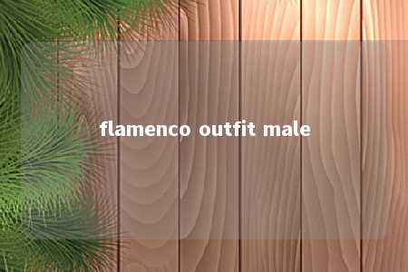 flamenco outfit male