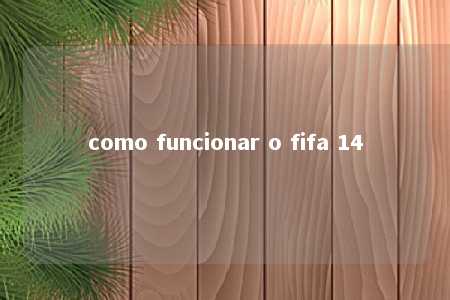 como funcionar o fifa 14