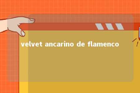 velvet ancarino de flamenco