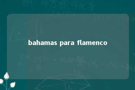 bahamas para flamenco