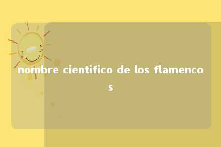 nombre cientifico de los flamencos