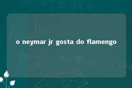 o neymar jr gosta do flamengo