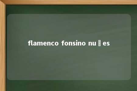 flamenco fonsino nuñes