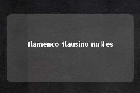 flamenco flausino nuñes