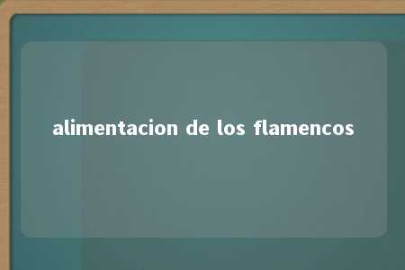 alimentacion de los flamencos