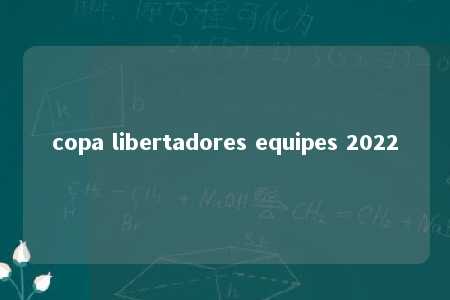 copa libertadores equipes 2022