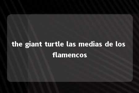 the giant turtle las medias de los flamencos