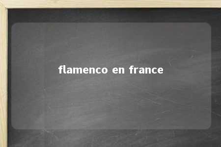 flamenco en france