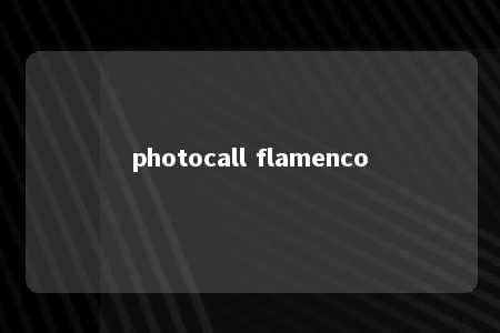 photocall flamenco