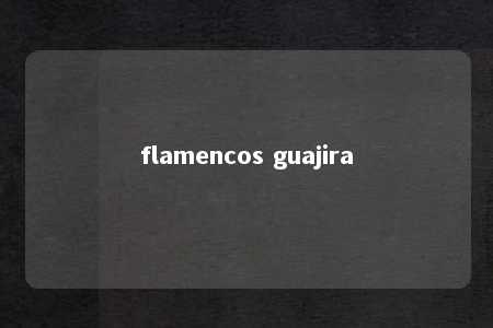 flamencos guajira