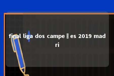 final liga dos campeões 2019 madri