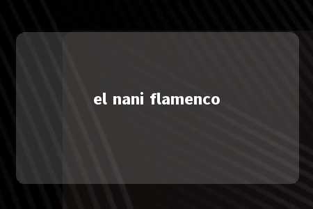 el nani flamenco