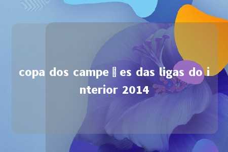 copa dos campeões das ligas do interior 2014