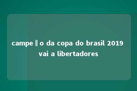 campeão da copa do brasil 2019 vai a libertadores