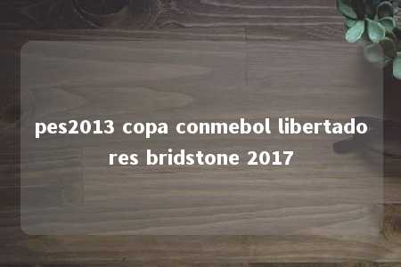 pes2013 copa conmebol libertadores bridstone 2017