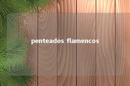 penteados flamencos