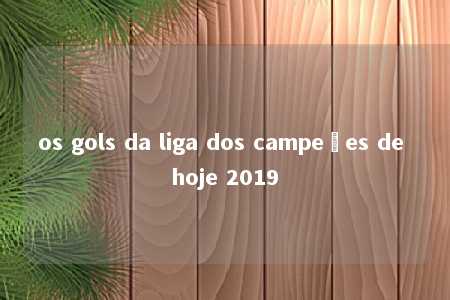 os gols da liga dos campeões de hoje 2019