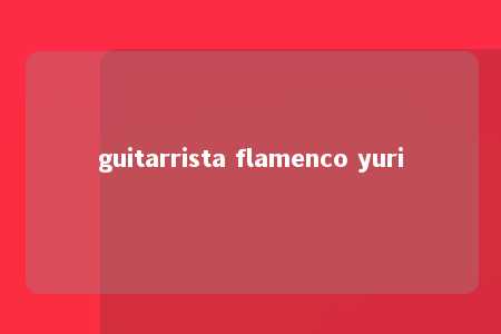 guitarrista flamenco yuri