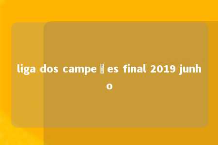 liga dos campeões final 2019 junho