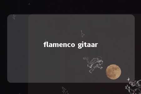 flamenco gitaar