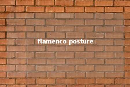 flamenco posture