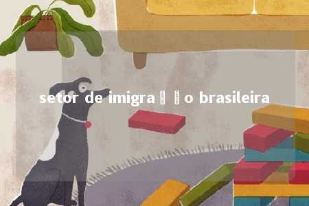 setor de imigração brasileira